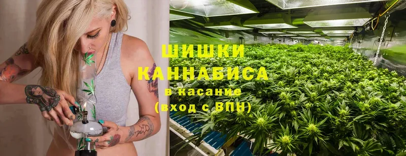 Каннабис White Widow  как найти закладки  Мурино 